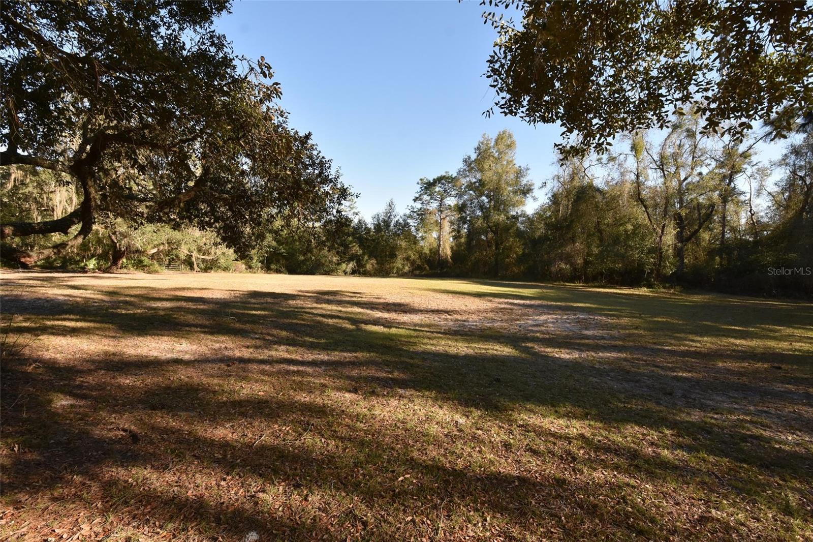 12729 SW 42ND WAY, WEBSTER, FL, 33597