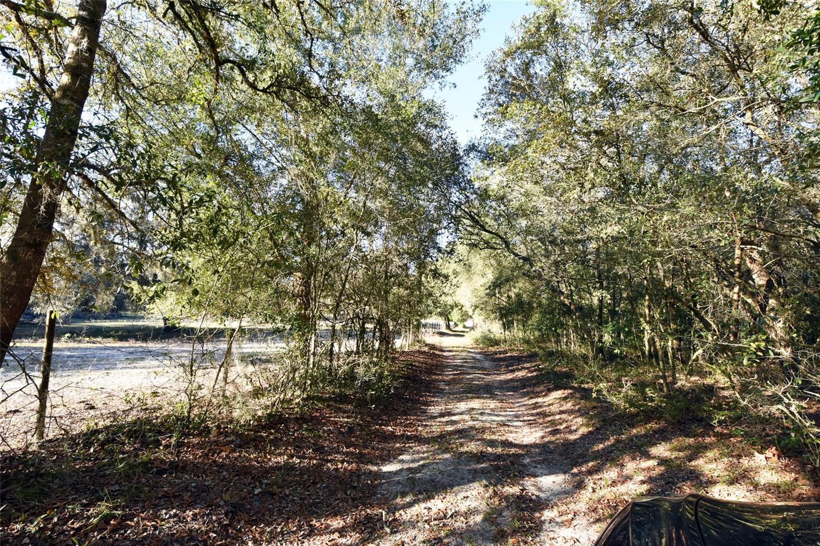 12729 SW 42ND WAY, WEBSTER, FL, 33597