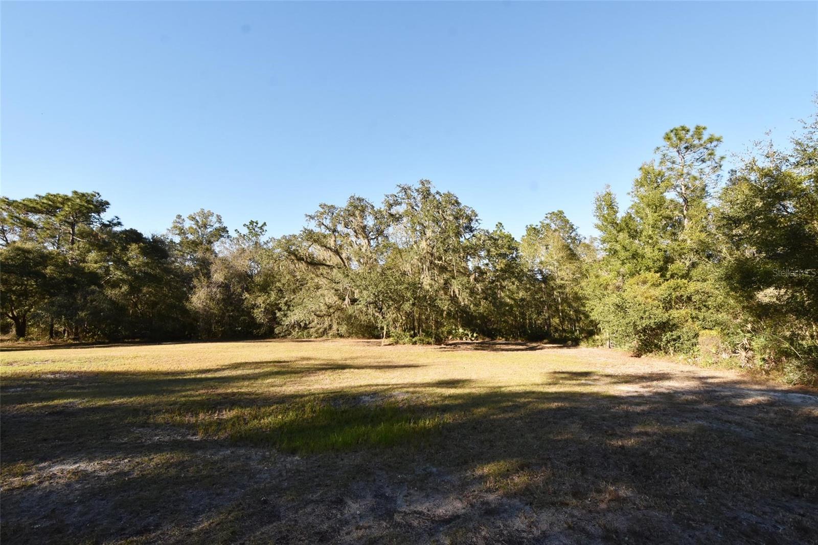 12729 SW 42ND WAY, WEBSTER, FL, 33597