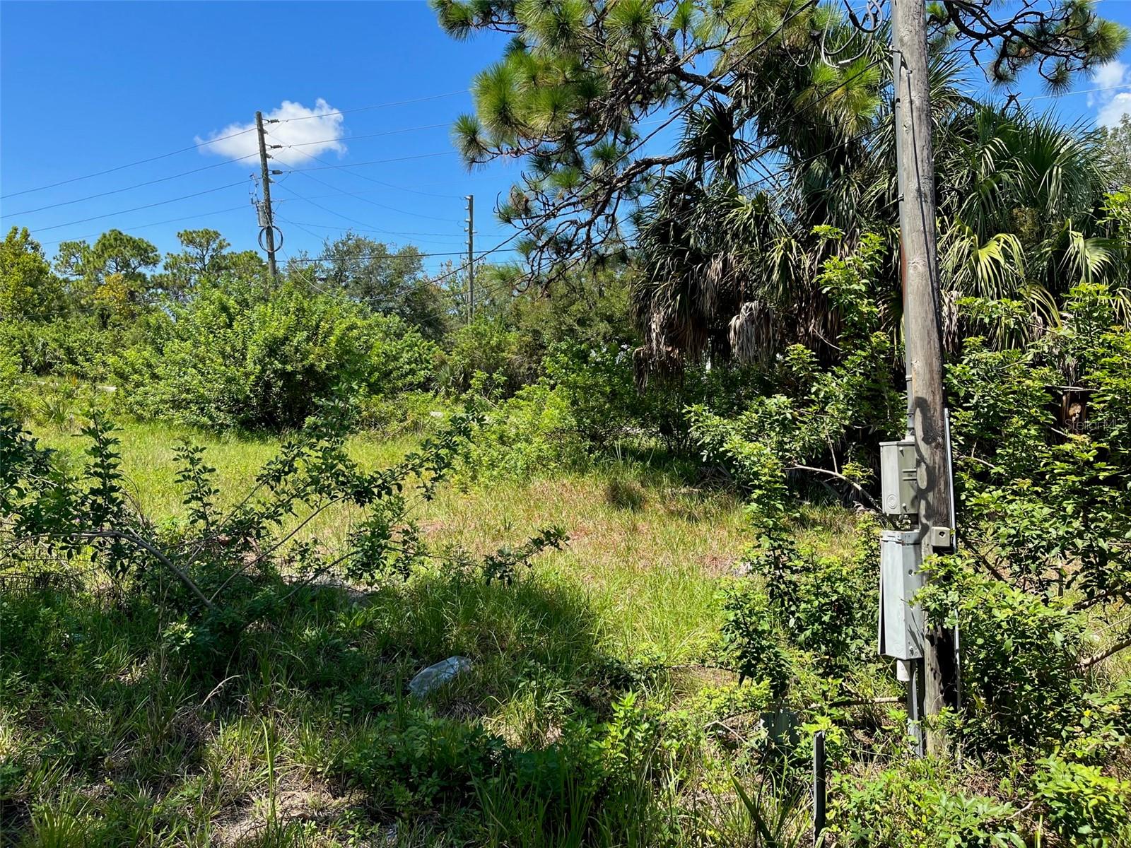 18904 CRAIG LOOP, HUDSON, FL, 34667