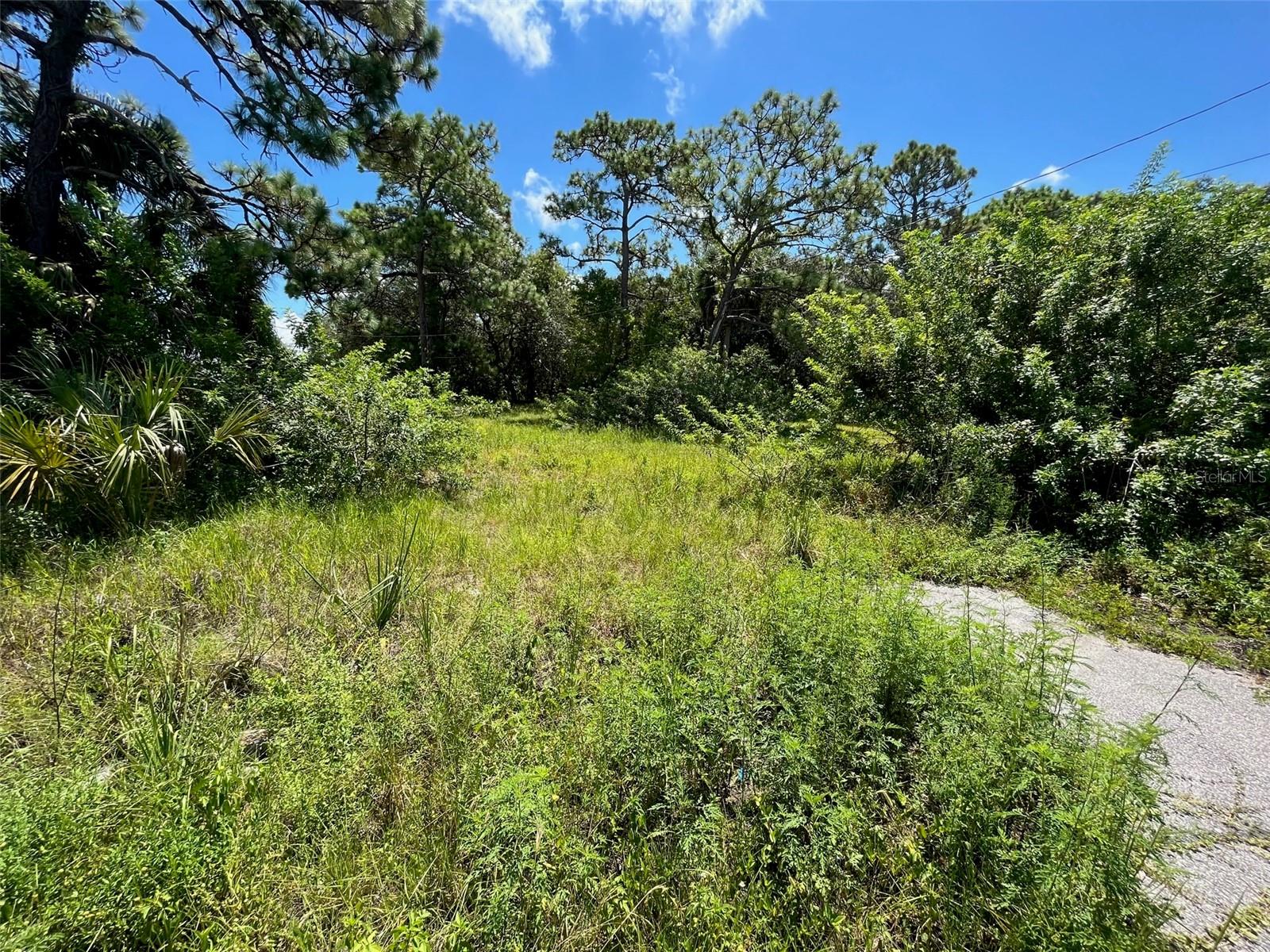 18904 CRAIG LOOP, HUDSON, FL, 34667