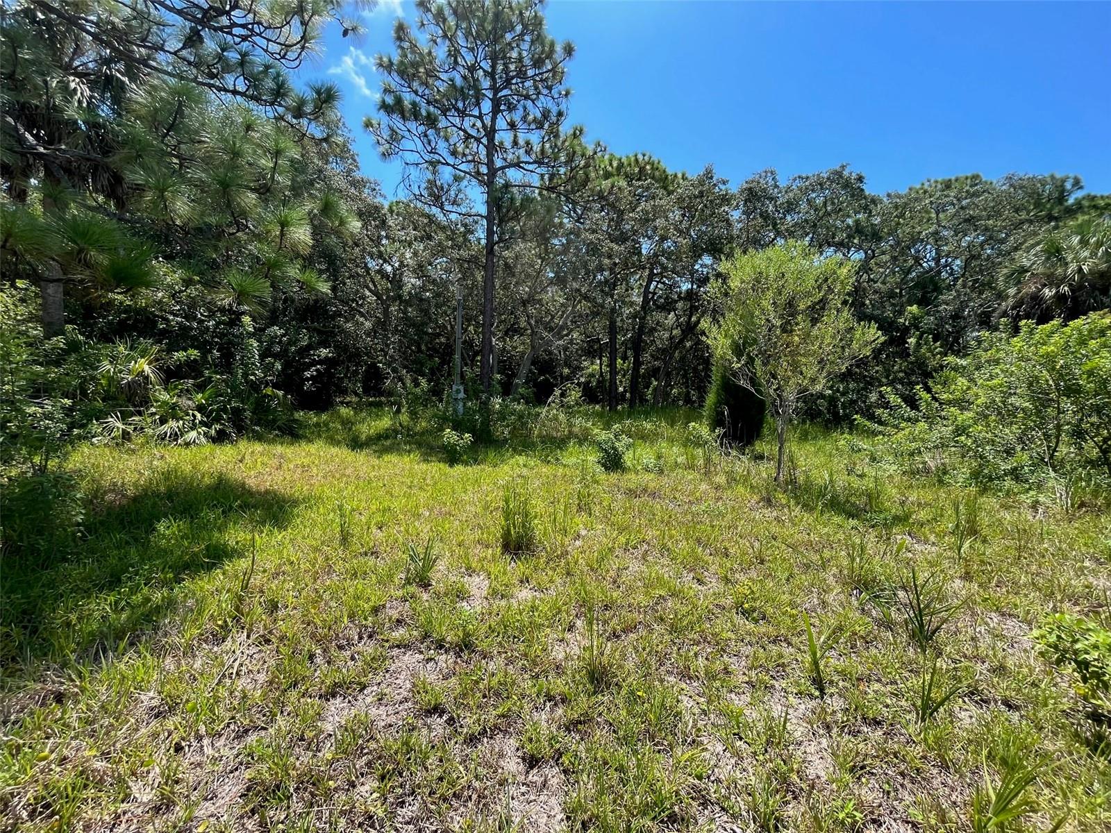 18904 CRAIG LOOP, HUDSON, FL, 34667