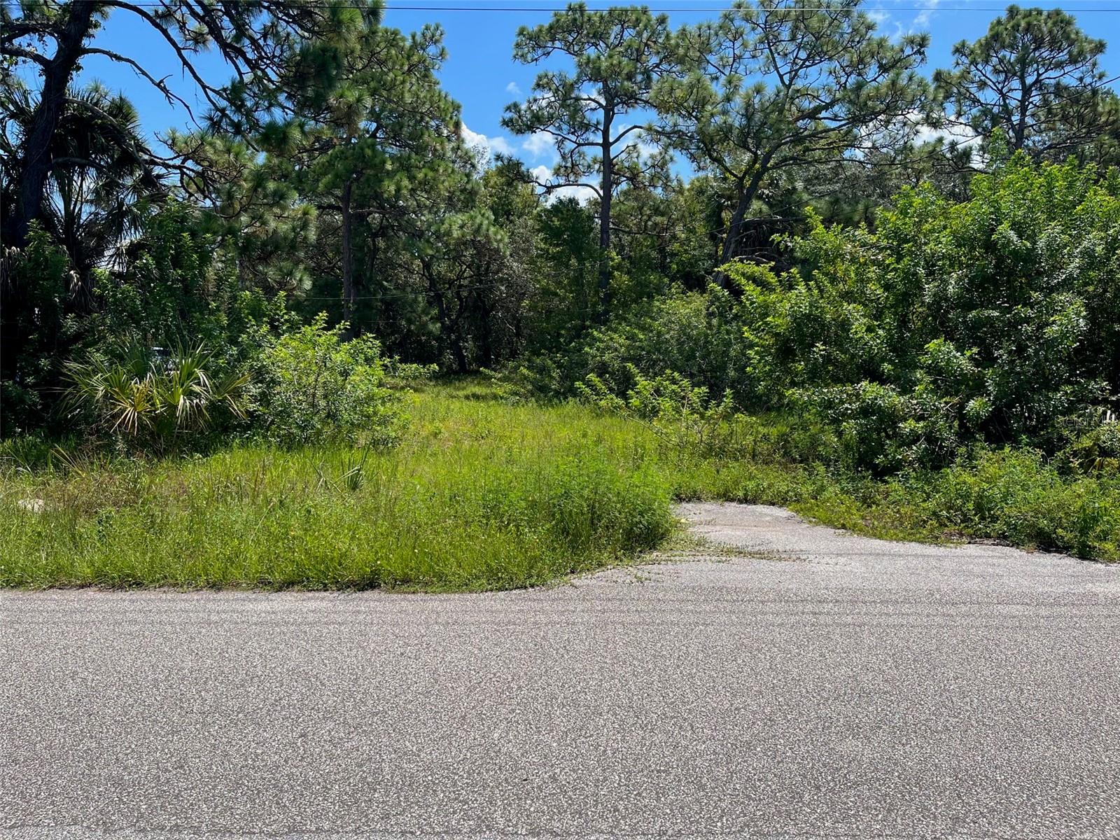 18904 CRAIG LOOP, HUDSON, FL, 34667