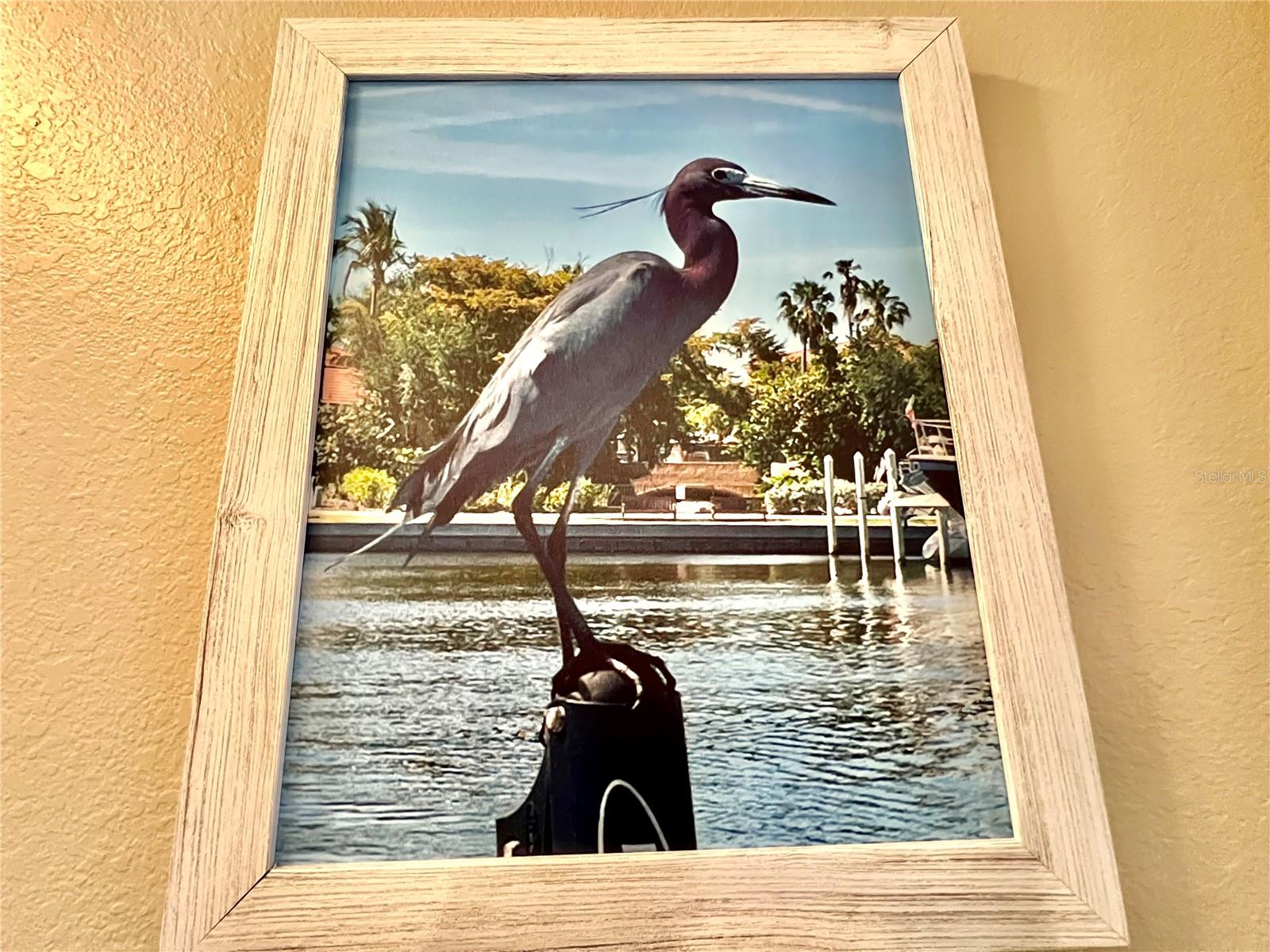 1010 ISLAMORADA BLVD, PUNTA GORDA, FL, 33955