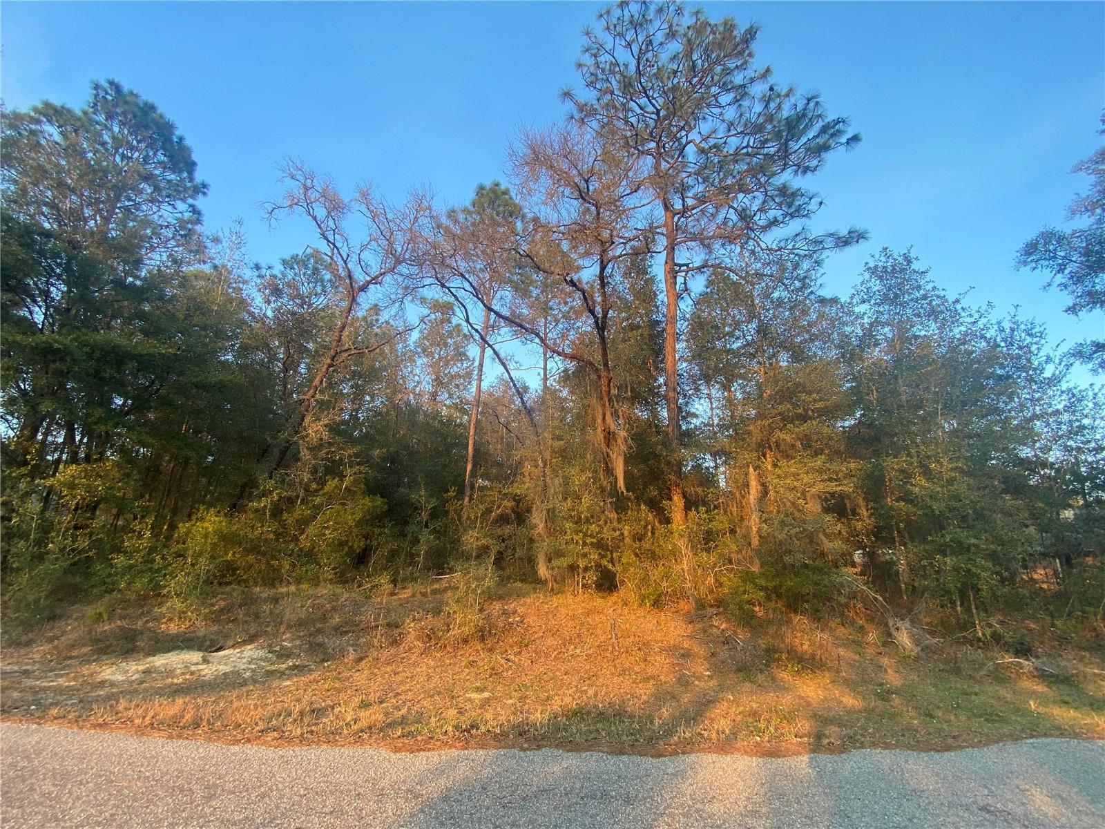 Lot 28 SW 206 CIR, DUNNELLON, FL, 34431