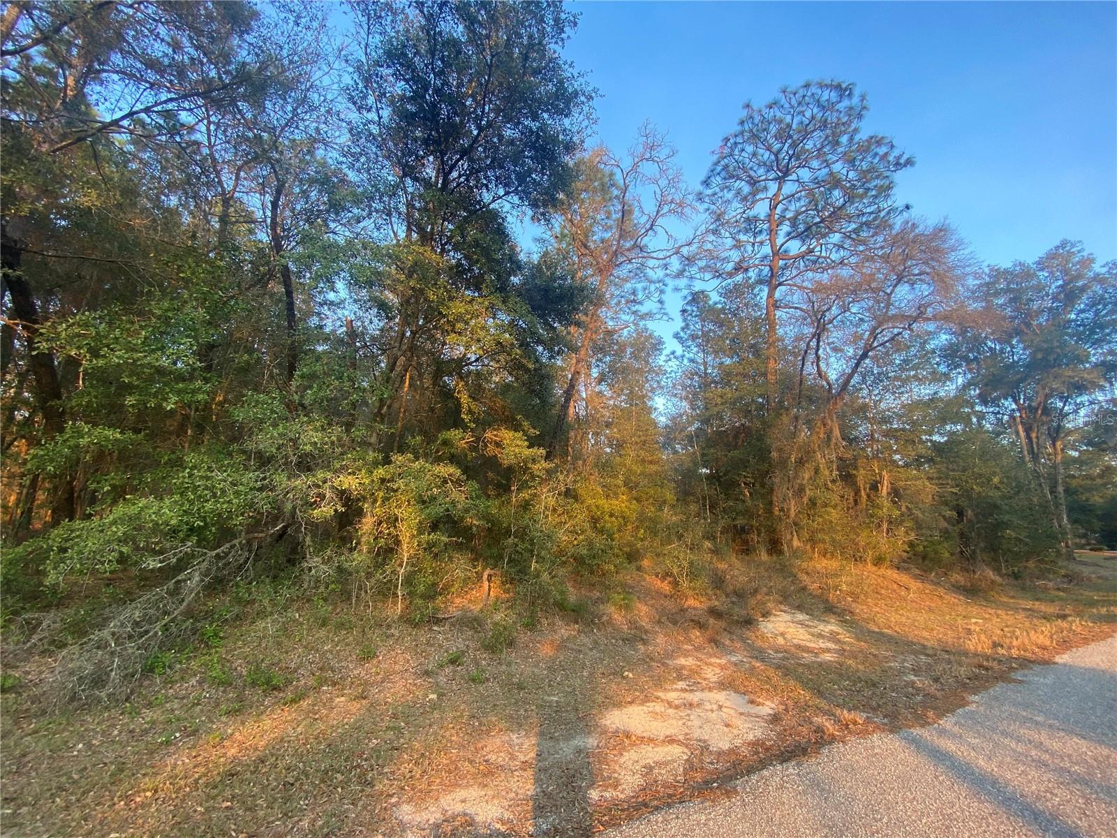 Lot 28 SW 206 CIR, DUNNELLON, FL, 34431