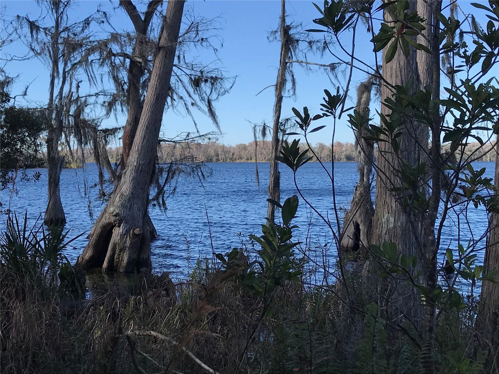 4950 N FORT CHRISTMAS RD, CHRISTMAS, FL, 32709