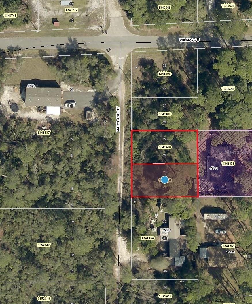 MARYLAND ST, PAISLEY, FL, 32767