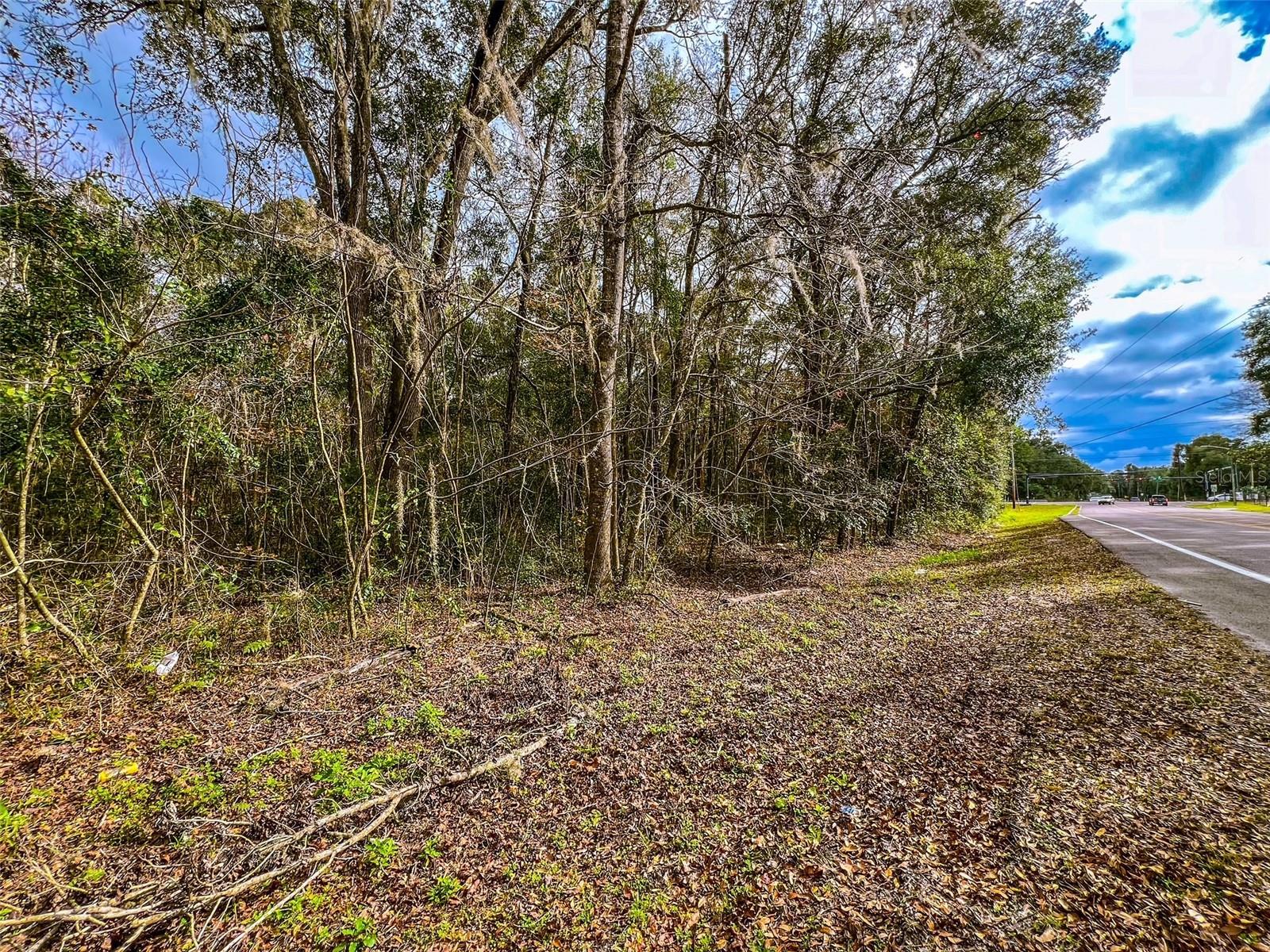 187 NW 170TH ST, NEWBERRY, FL, 32669