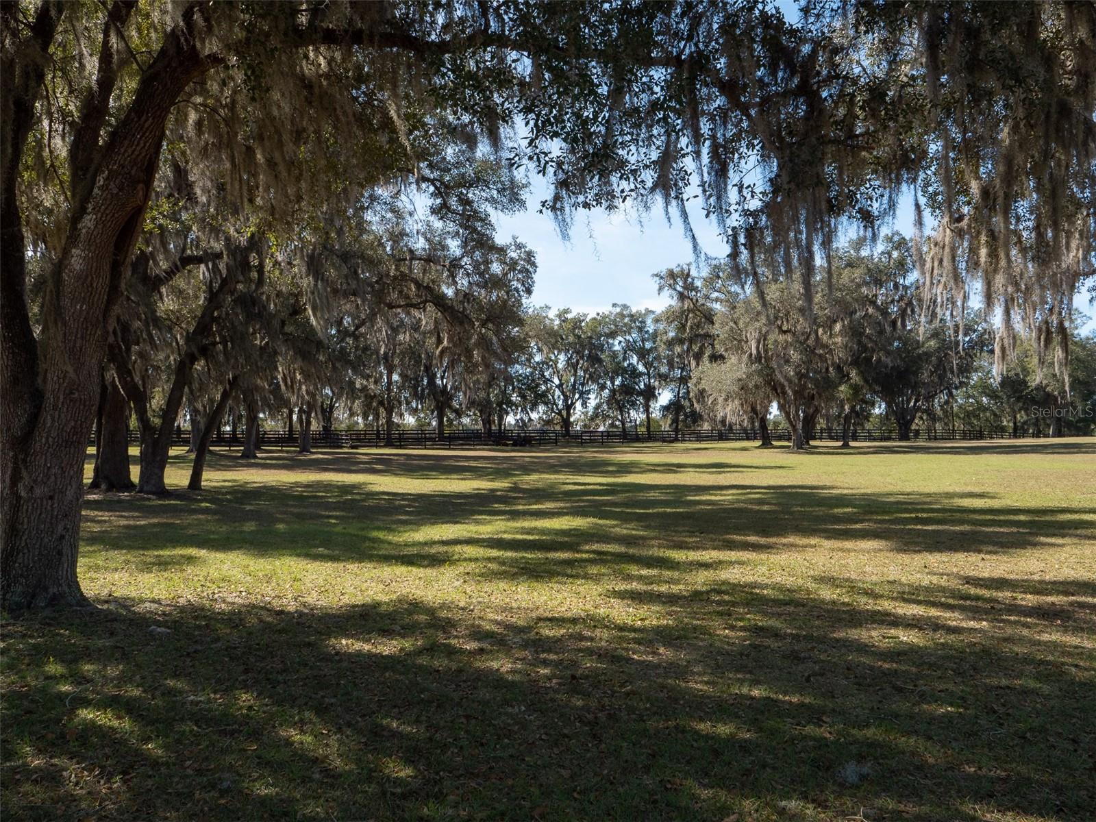 4501 SW 85TH AVE, OCALA, FL, 34481