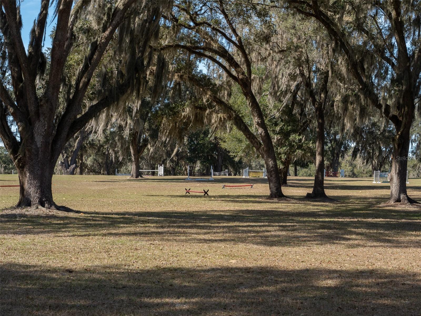 4501 SW 85TH AVE, OCALA, FL, 34481