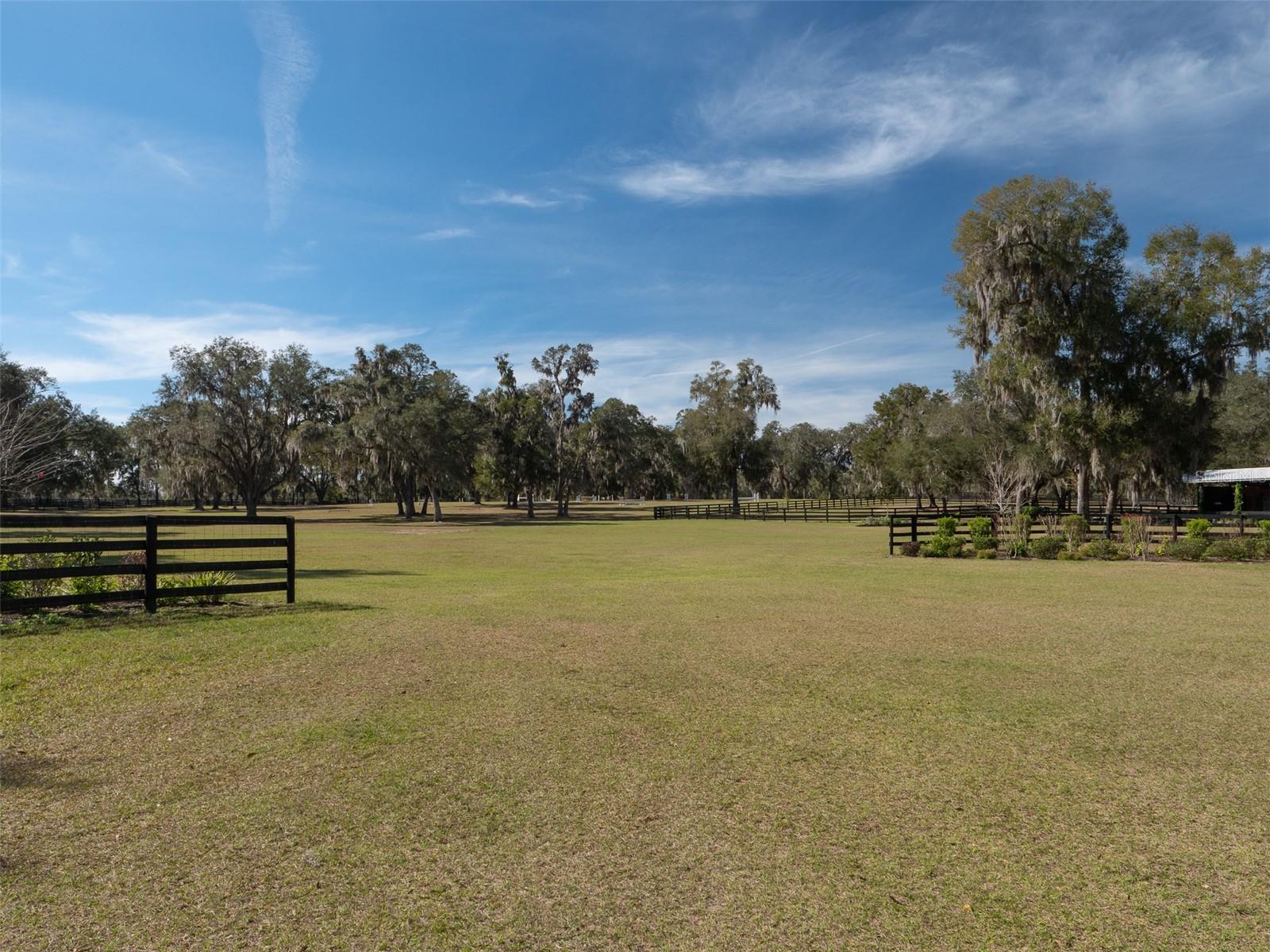 4501 SW 85TH AVE, OCALA, FL, 34481