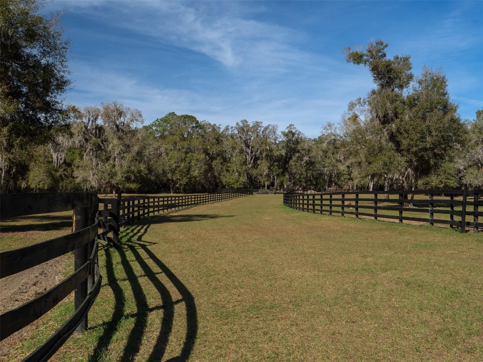 4501 SW 85TH AVE, OCALA, FL, 34481