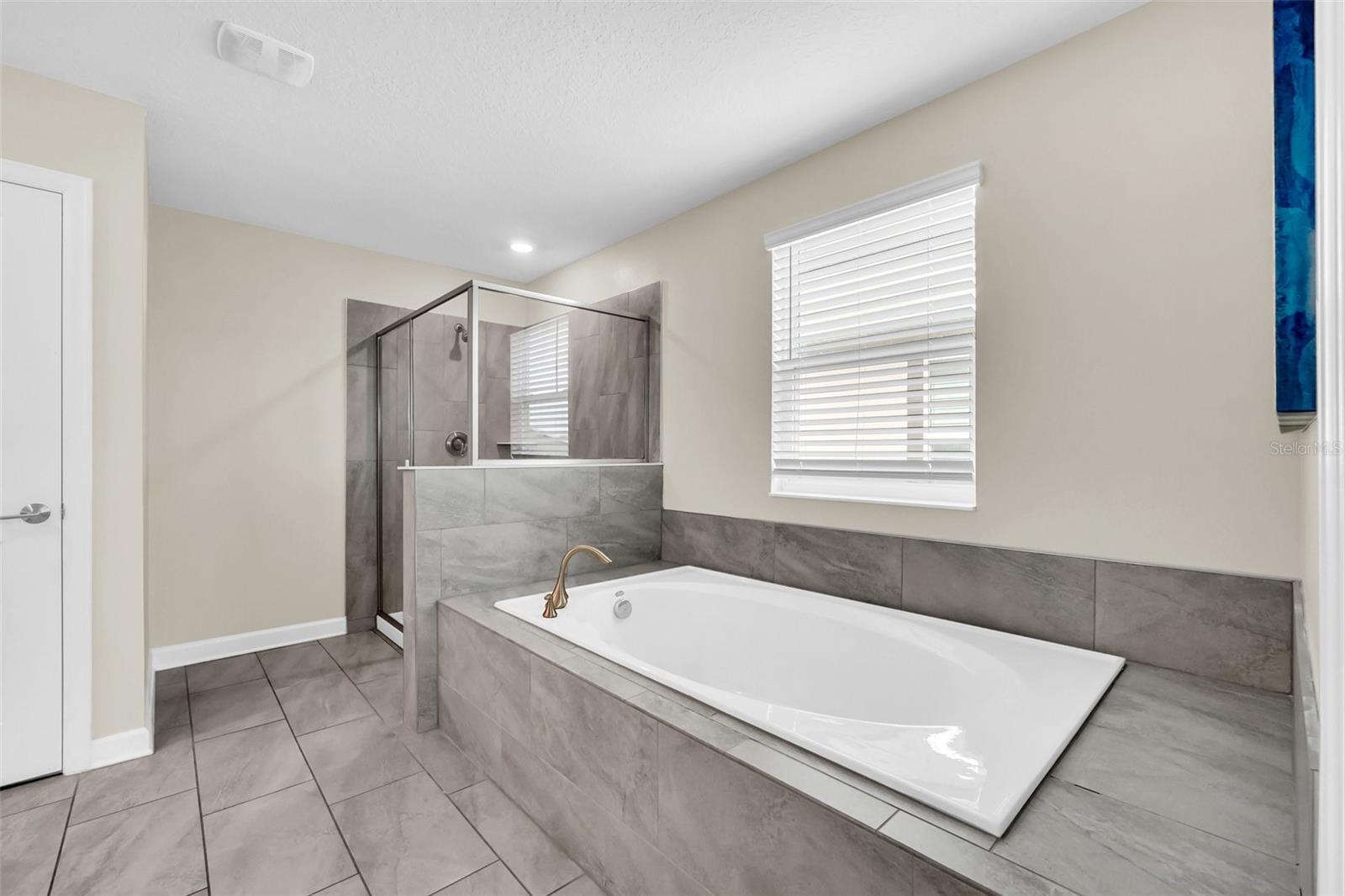 780 DROP SHOT DR, CHAMPIONS GATE, FL, 33896