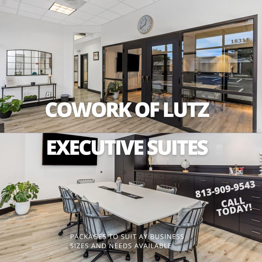 18311 N US HIGHWAY 41, LUTZ, FL, 33549