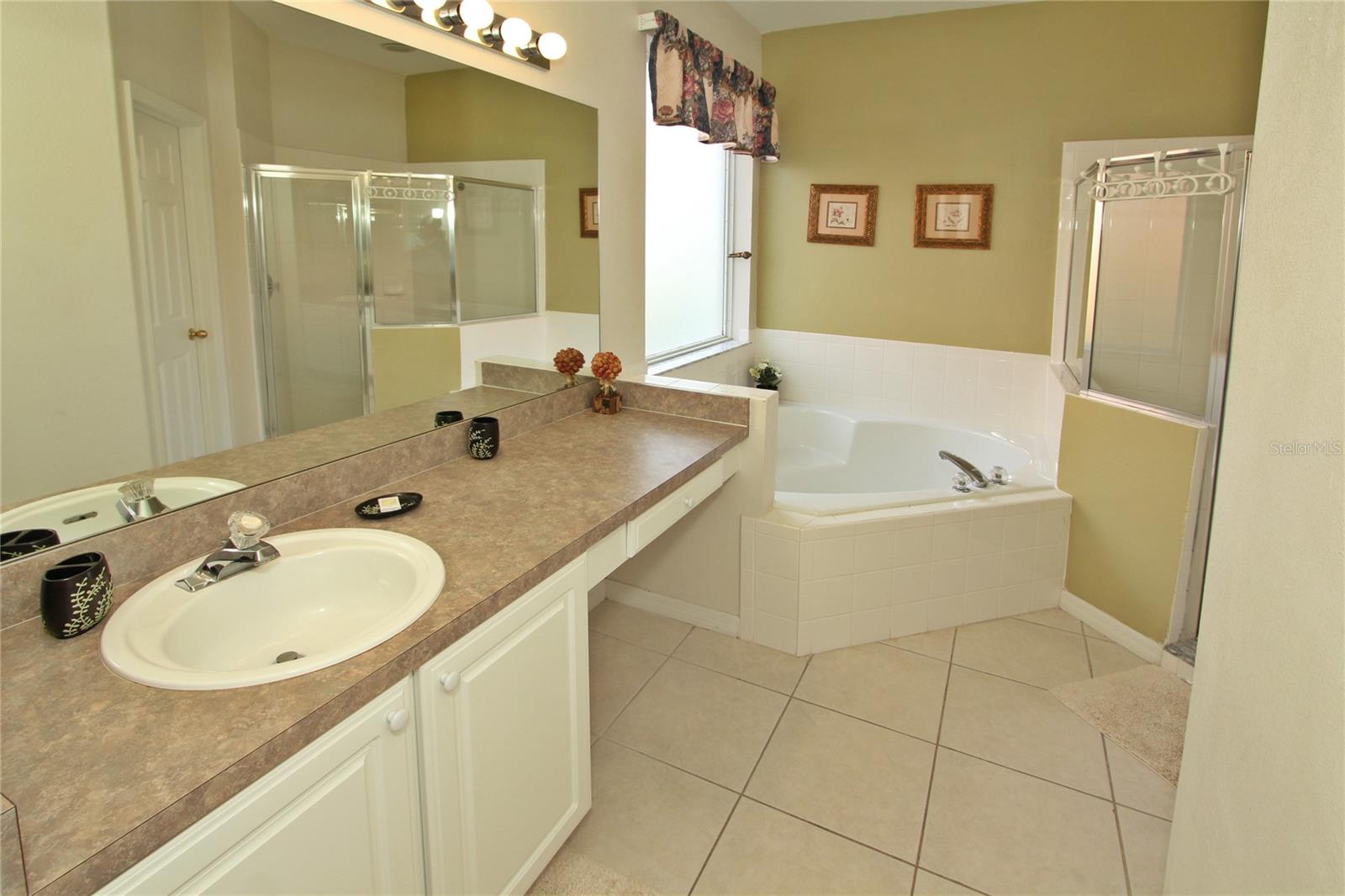 8508 LA ISLA DR, KISSIMMEE, FL, 34747