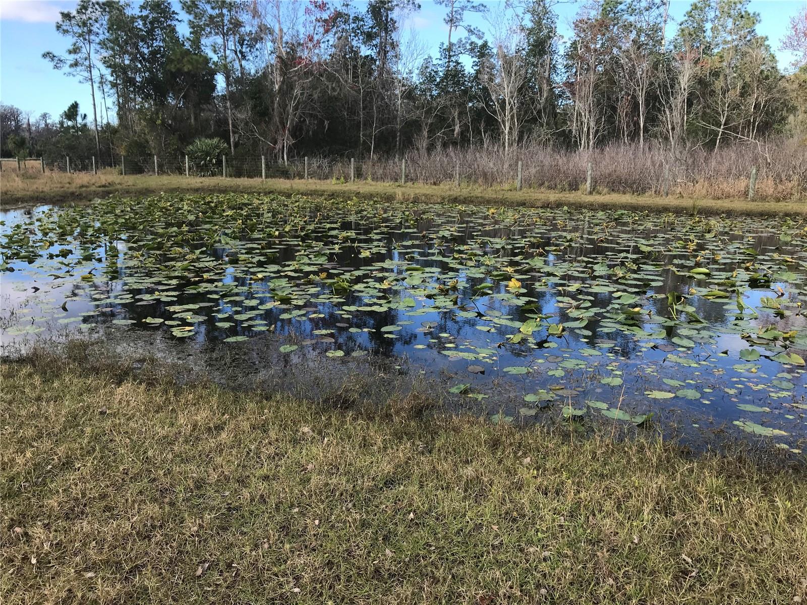 1425 FORT CHRISTMAS RD, CHULUOTA, FL, 32766
