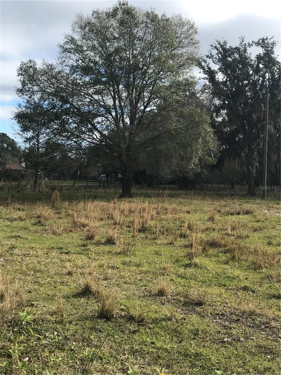 1425 FORT CHRISTMAS RD, CHULUOTA, FL, 32766