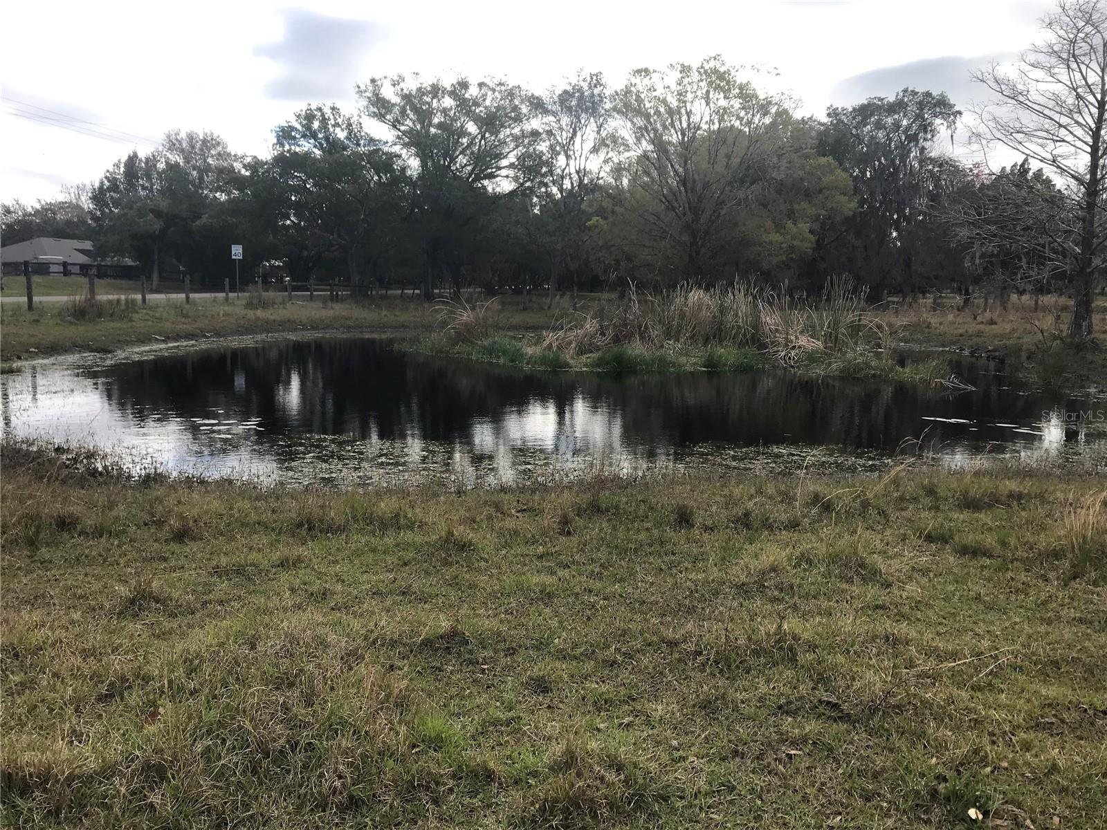 1425 FORT CHRISTMAS RD, CHULUOTA, FL, 32766