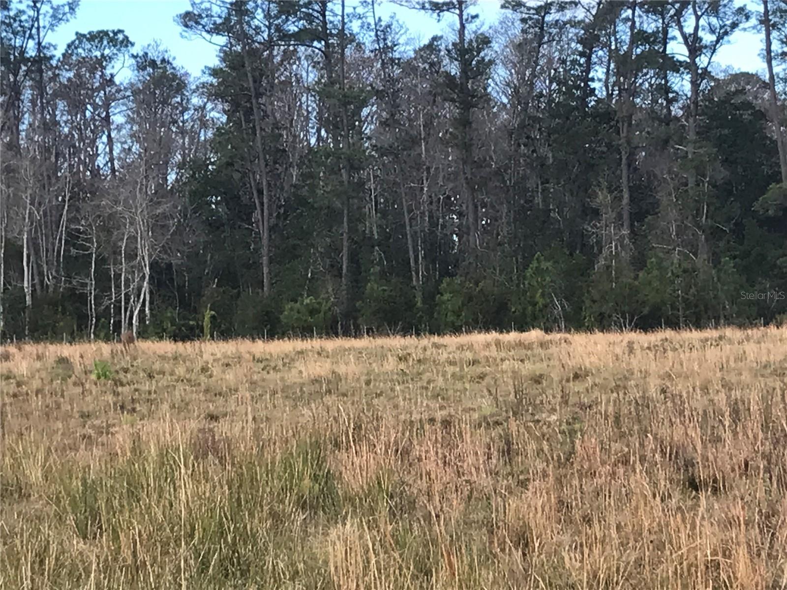 1425 FORT CHRISTMAS RD, CHULUOTA, FL, 32766