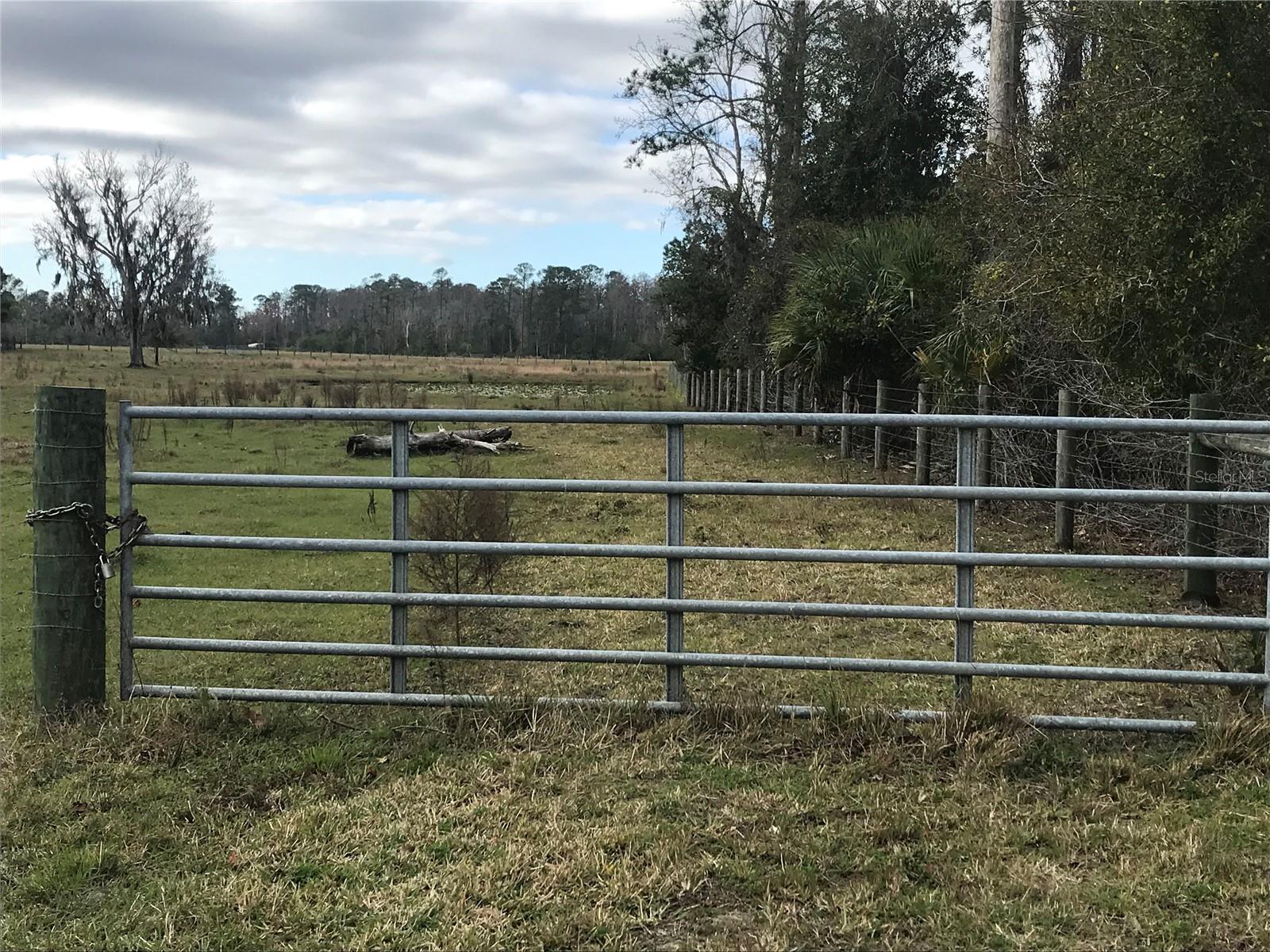 1425 FORT CHRISTMAS RD, CHULUOTA, FL, 32766