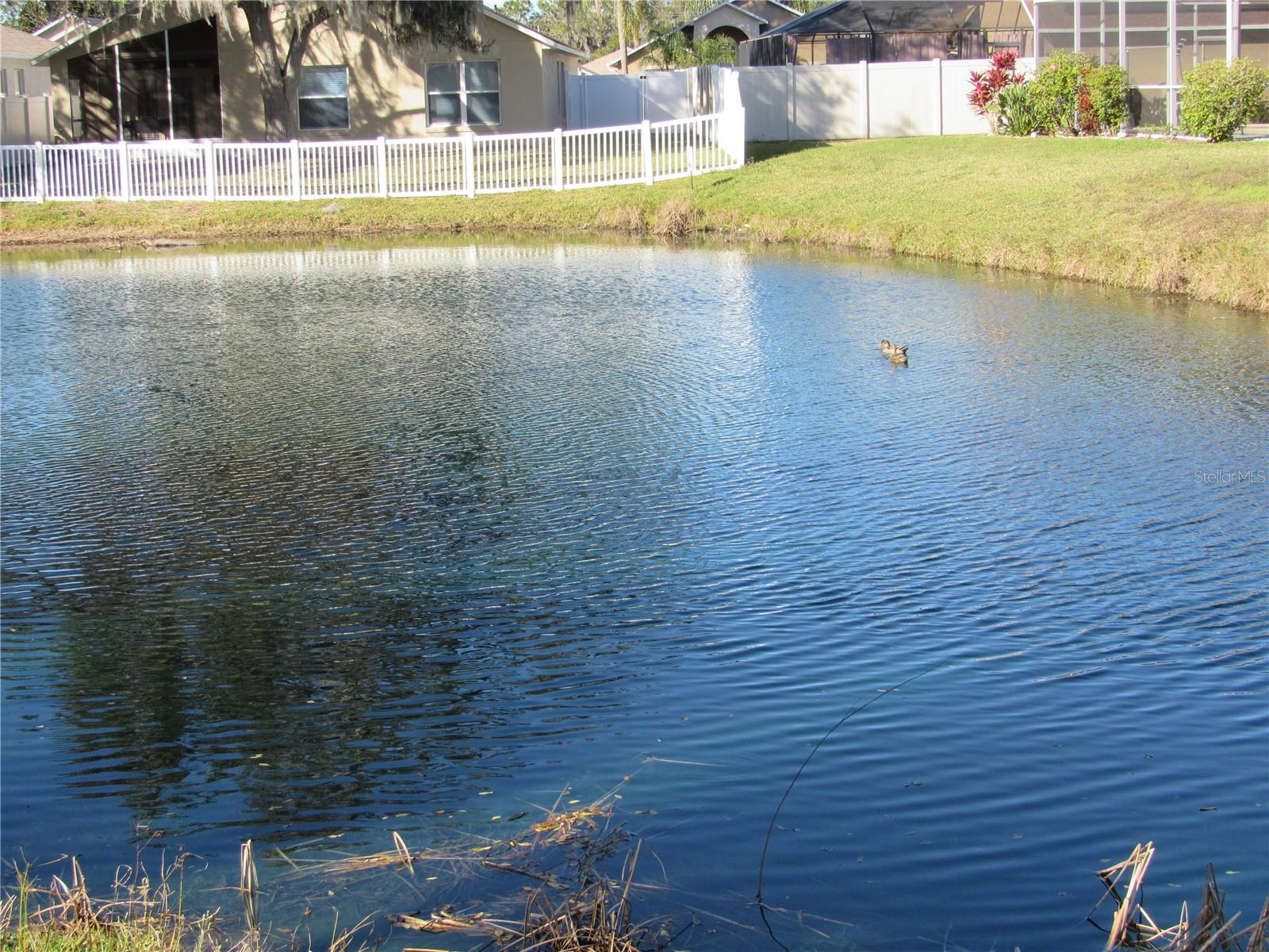 2608 WHITEWOOD ROAD, MULBERRY, FL, 33860