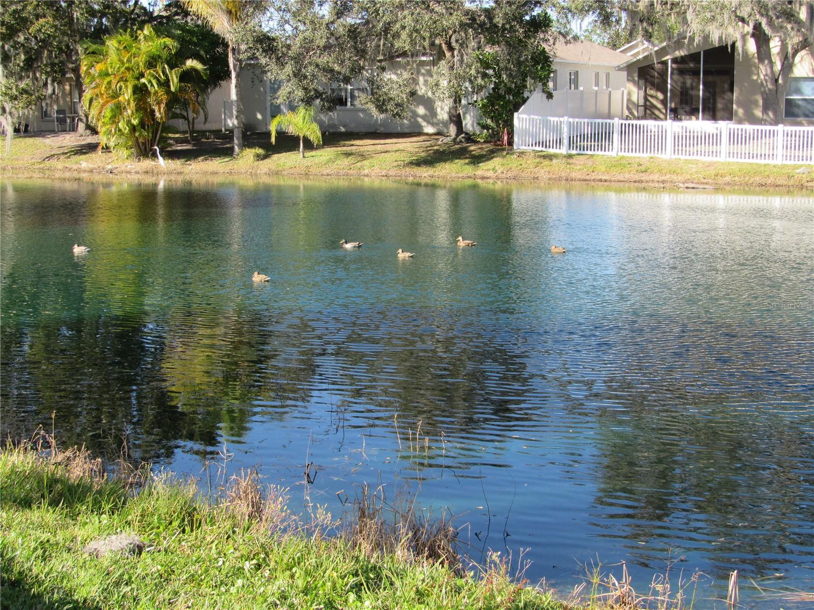 2608 WHITEWOOD ROAD, MULBERRY, FL, 33860