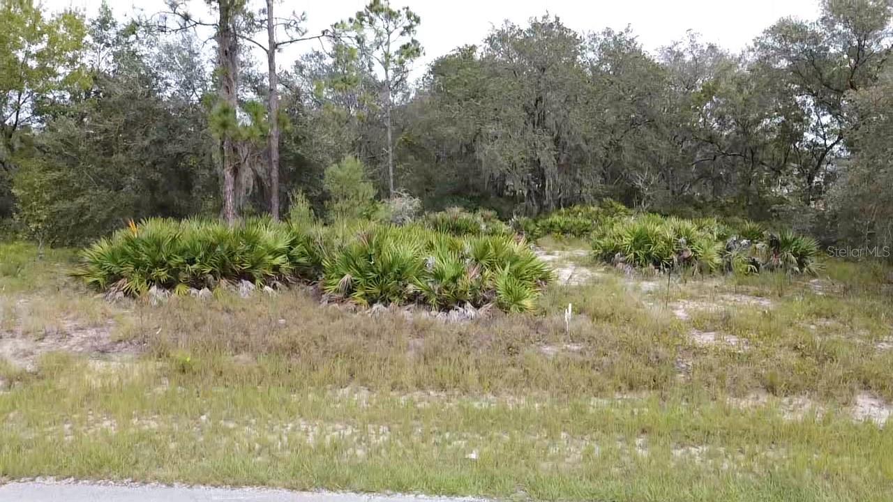 1405 SARASOTA CT, POINCIANA, FL, 34759