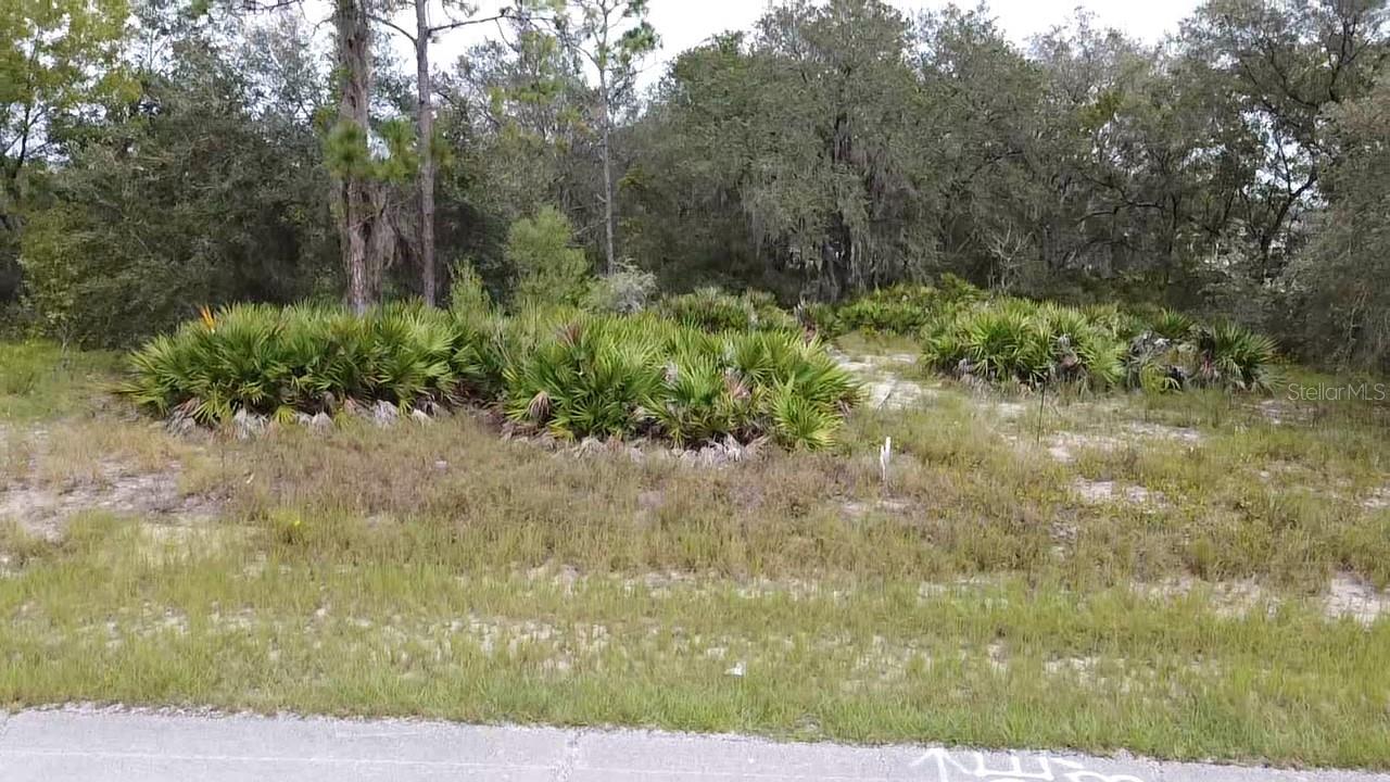 1405 SARASOTA CT, POINCIANA, FL, 34759