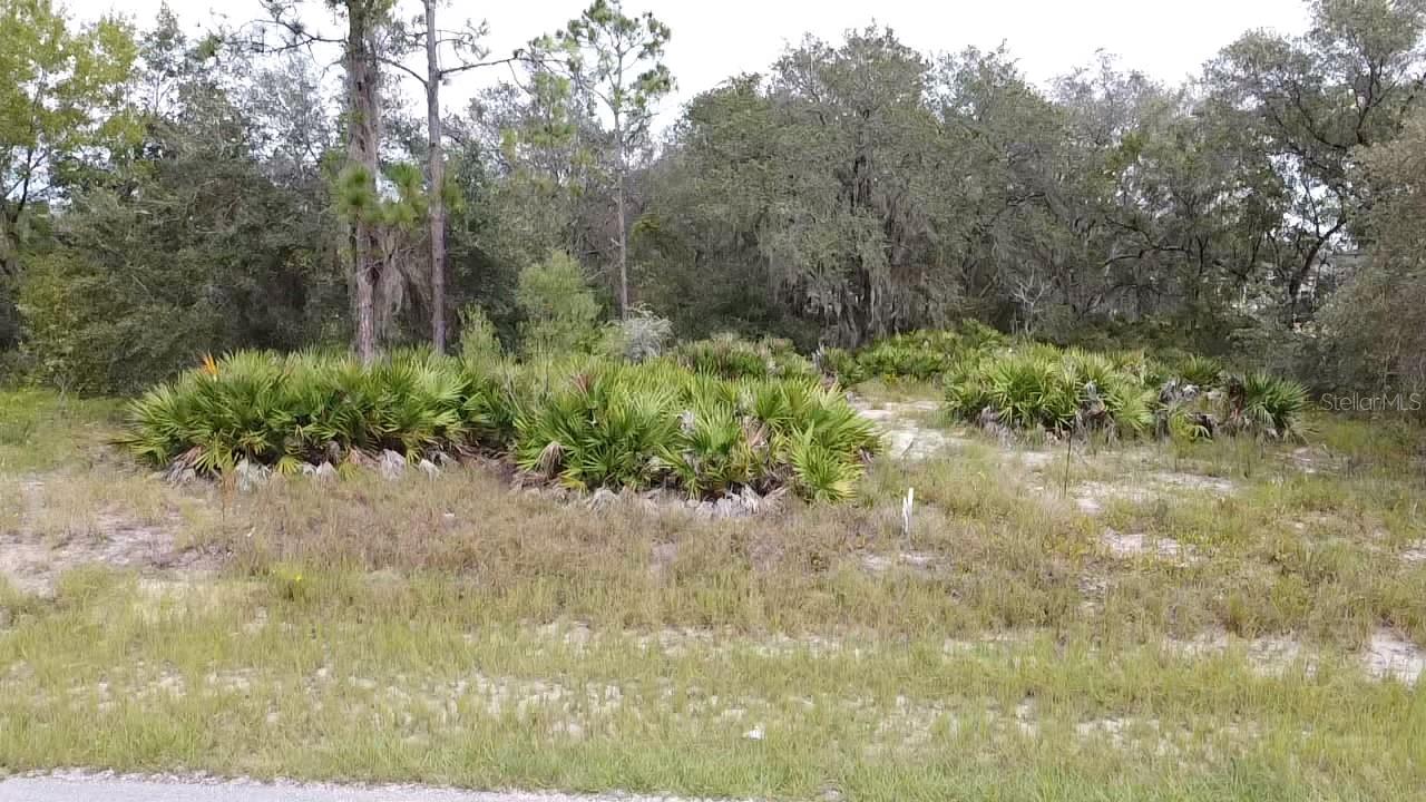 1405 SARASOTA CT, POINCIANA, FL, 34759
