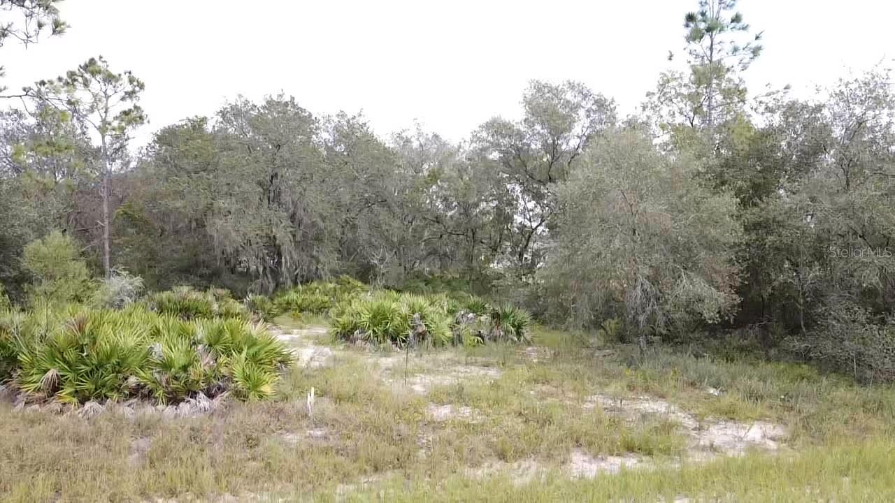 1405 SARASOTA CT, POINCIANA, FL, 34759