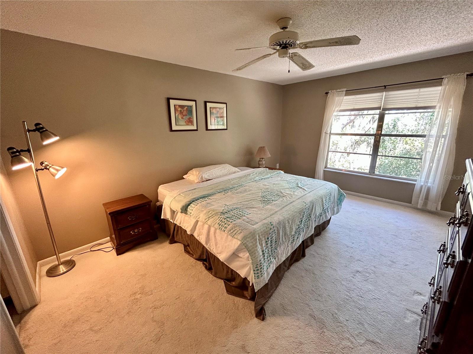 6601 SPRING FLOWER DR #23, NEW PORT RICHEY, FL, 34653