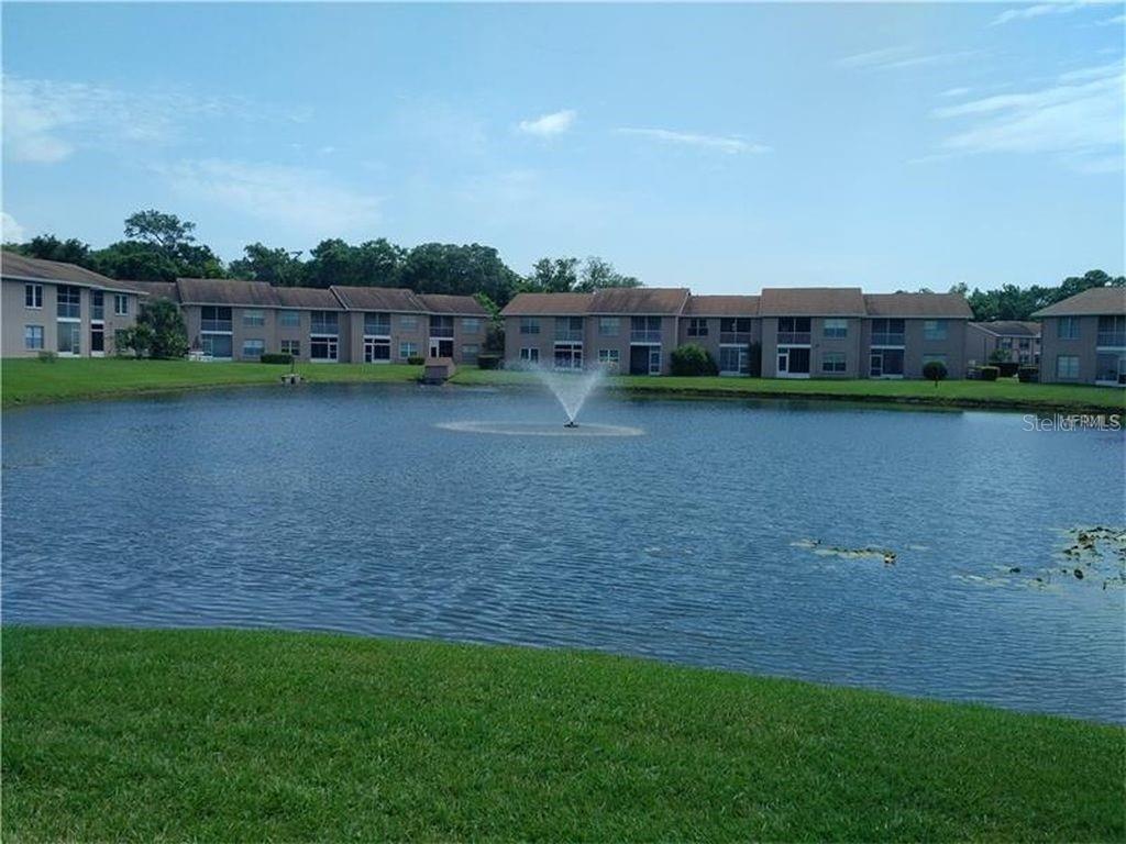 6601 SPRING FLOWER DR #23, NEW PORT RICHEY, FL, 34653