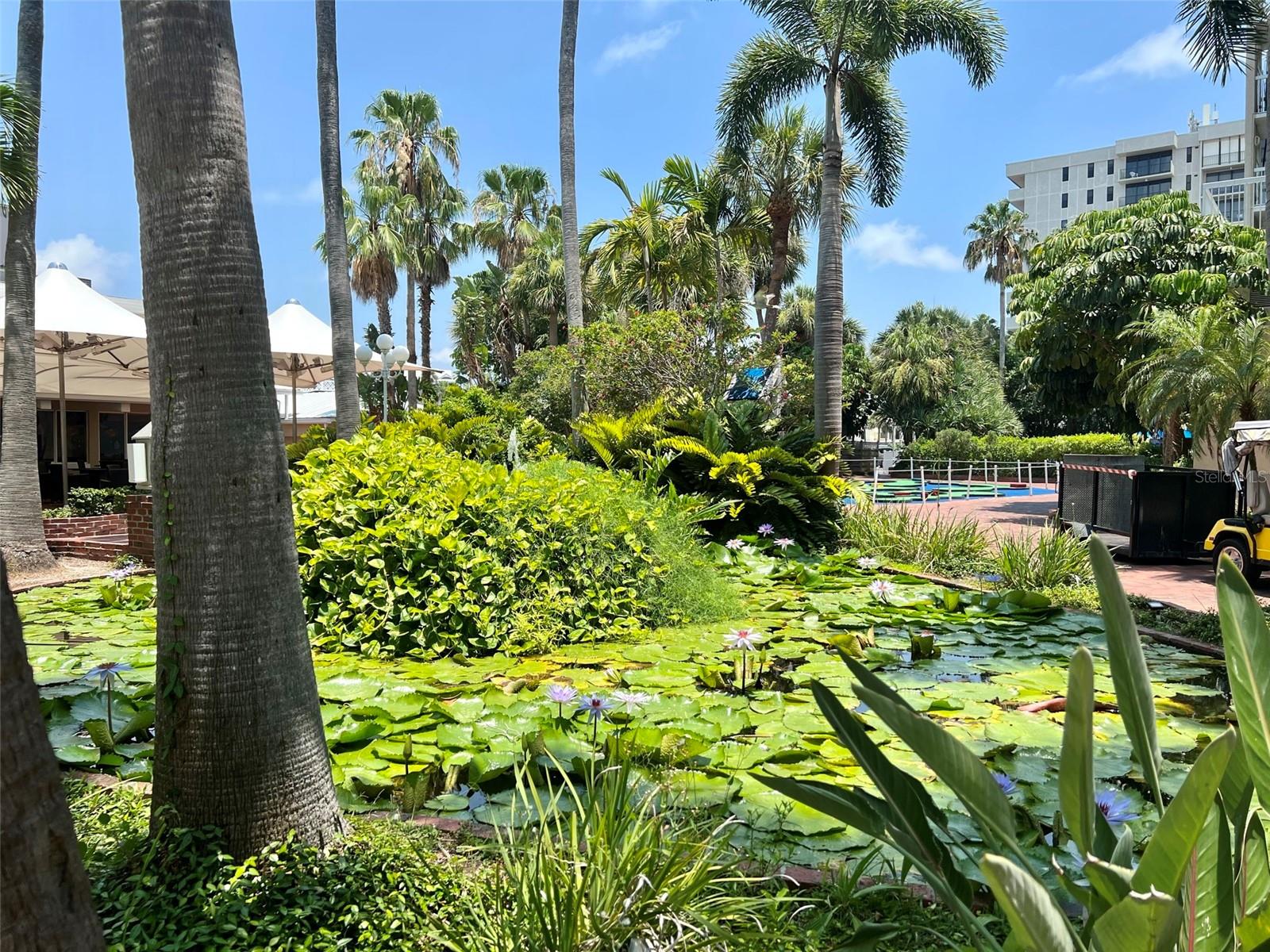 5500 GULF BLVD #7211, ST PETE BEACH, FL, 33706