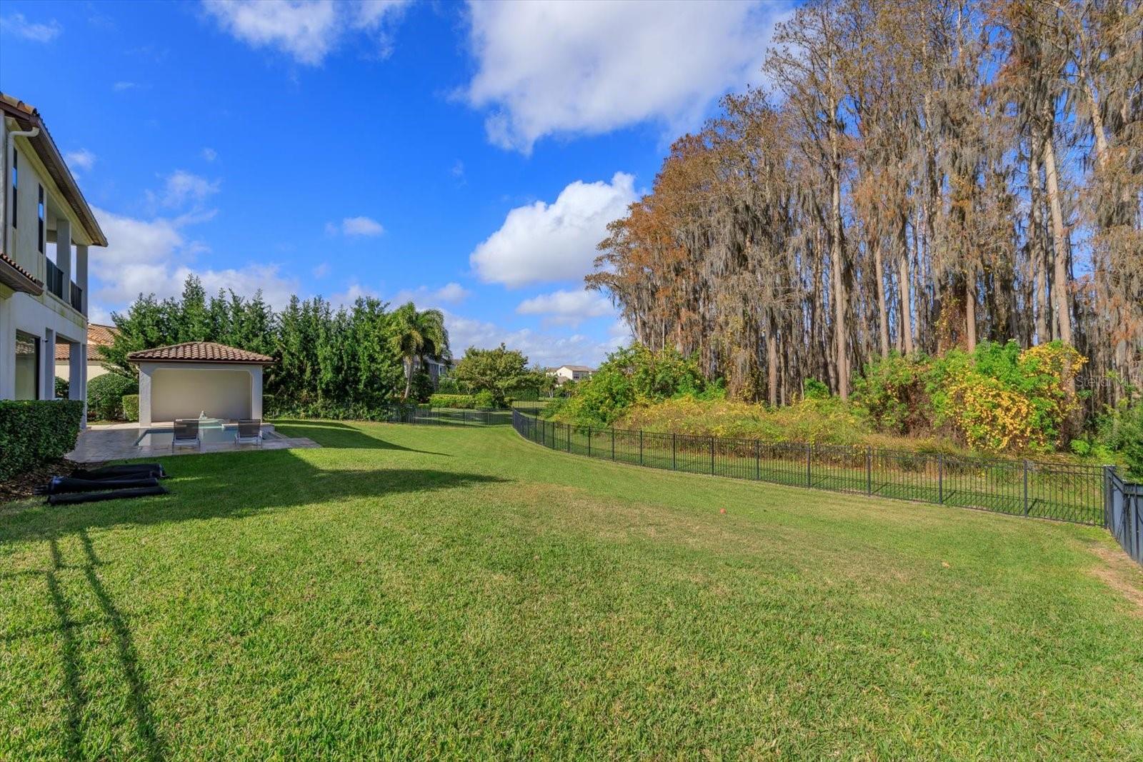 11617 WATERSTONE LOOP DR, WINDERMERE, FL, 34786