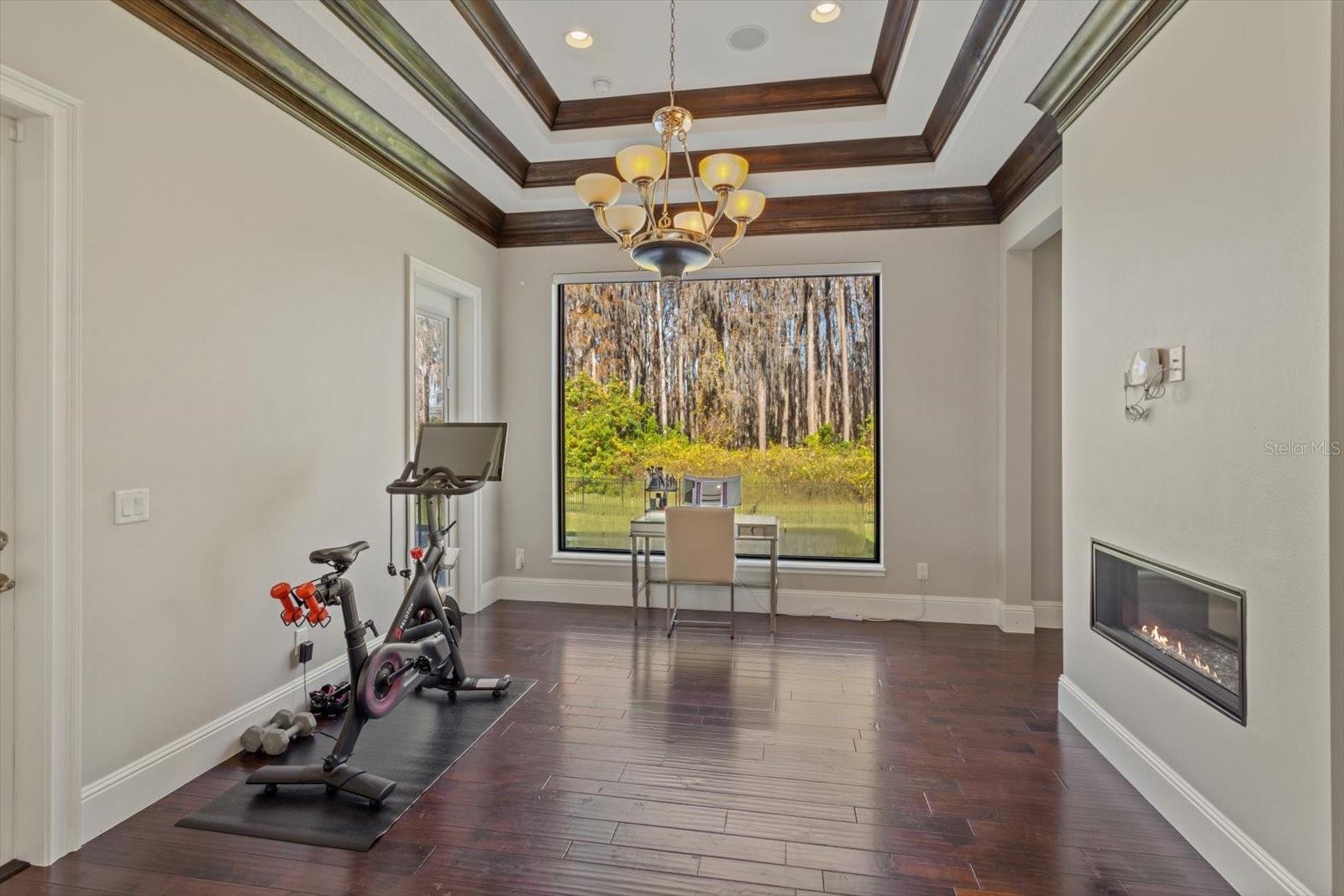 11617 WATERSTONE LOOP DR, WINDERMERE, FL, 34786