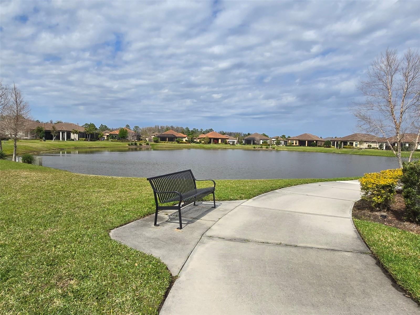 3270 FRANCOA DR, ODESSA, FL, 33556