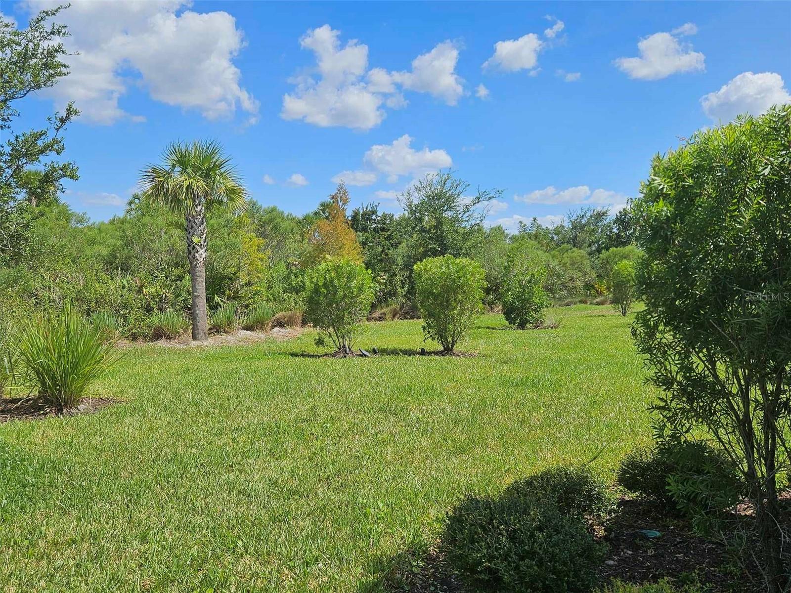 3270 FRANCOA DR, ODESSA, FL, 33556