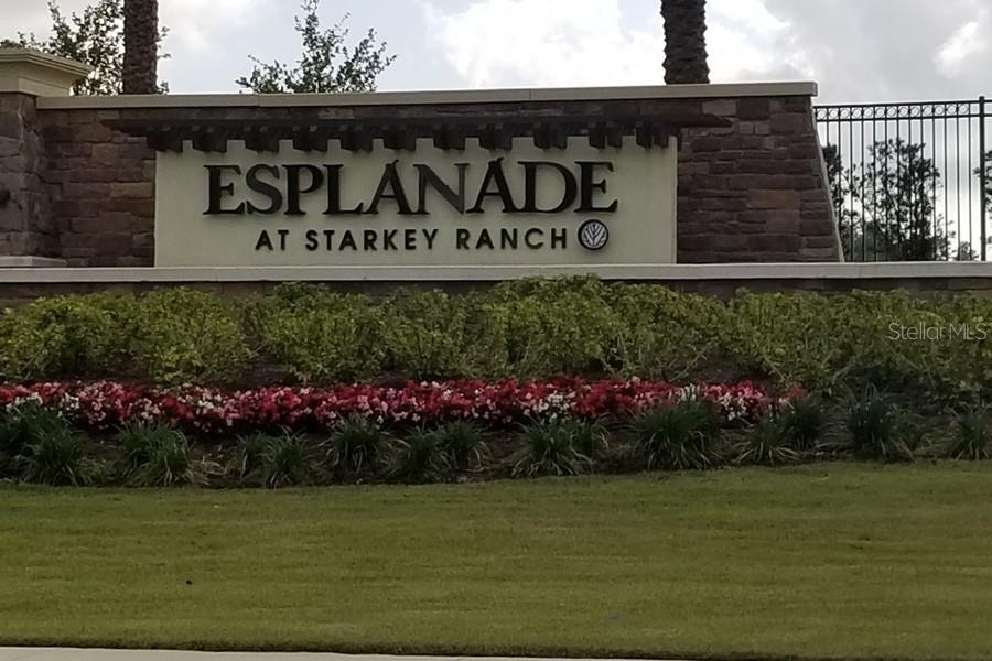 3270 FRANCOA DR, ODESSA, FL, 33556