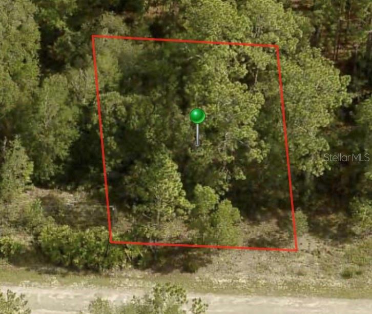 1245 W RILEY DR, CITRUS SPRINGS, FL, 34434