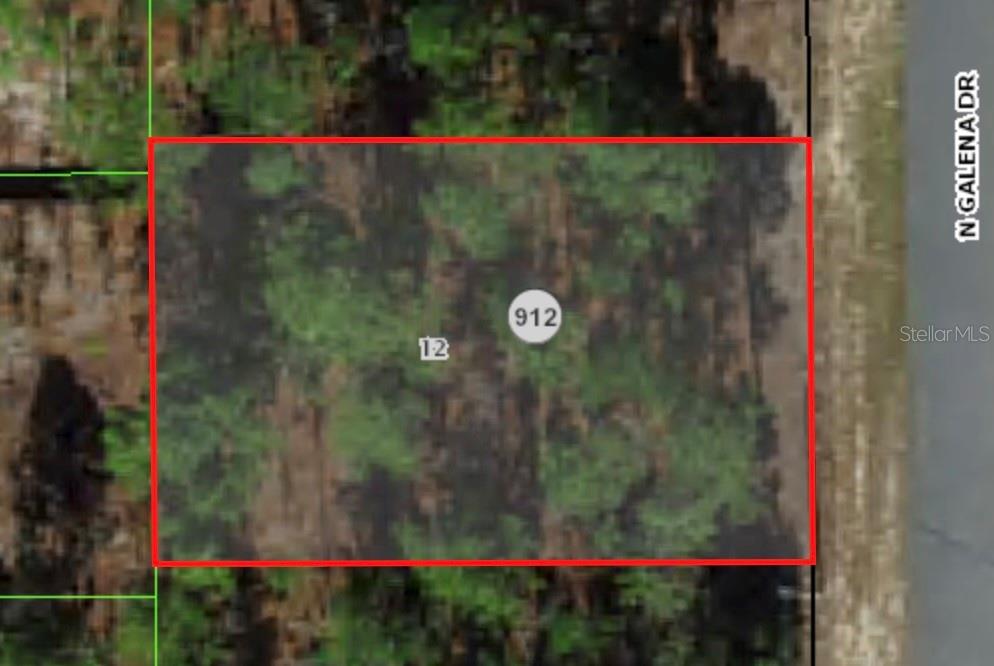 7802 N GALENA AVE, CITRUS SPRINGS, FL, 34434