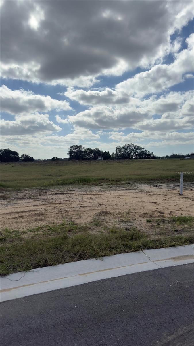 10005 WHITE EGRET DR, THONOTOSASSA, FL, 33592