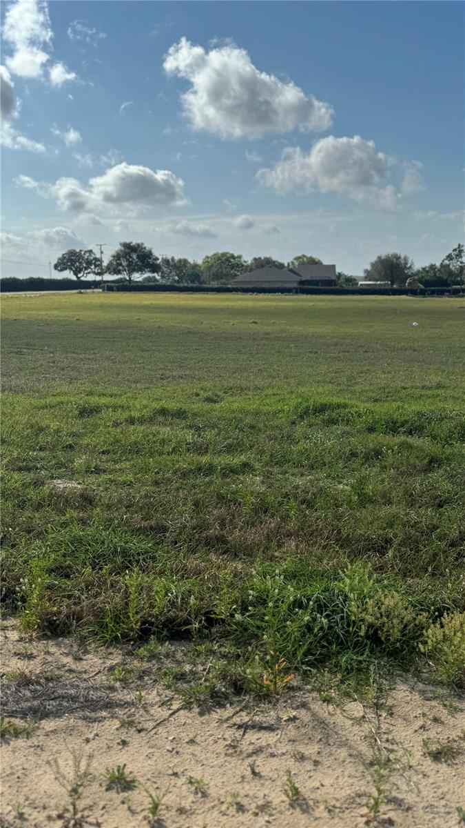 10005 WHITE EGRET DR, THONOTOSASSA, FL, 33592