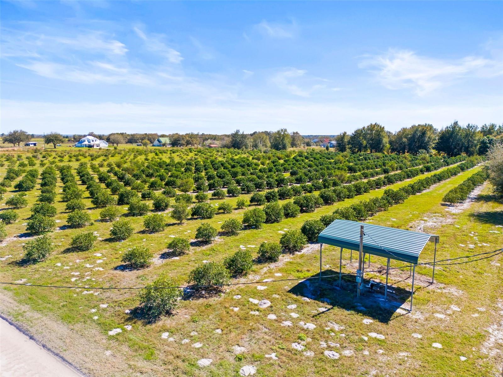 35538 FAIRVIEW HEIGHTS RD, ZEPHYRHILLS, FL, 33541