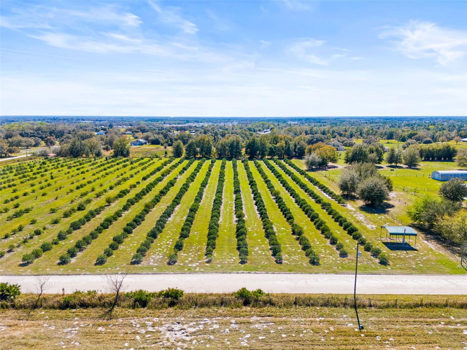 35538 FAIRVIEW HEIGHTS RD, ZEPHYRHILLS, FL, 33541