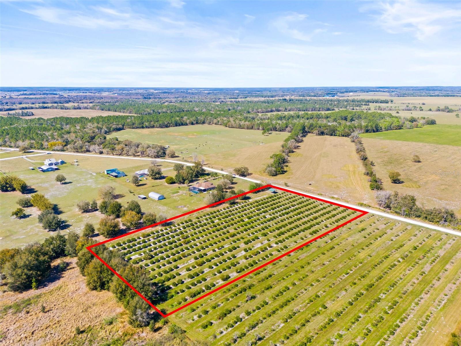 35538 FAIRVIEW HEIGHTS RD, ZEPHYRHILLS, FL, 33541