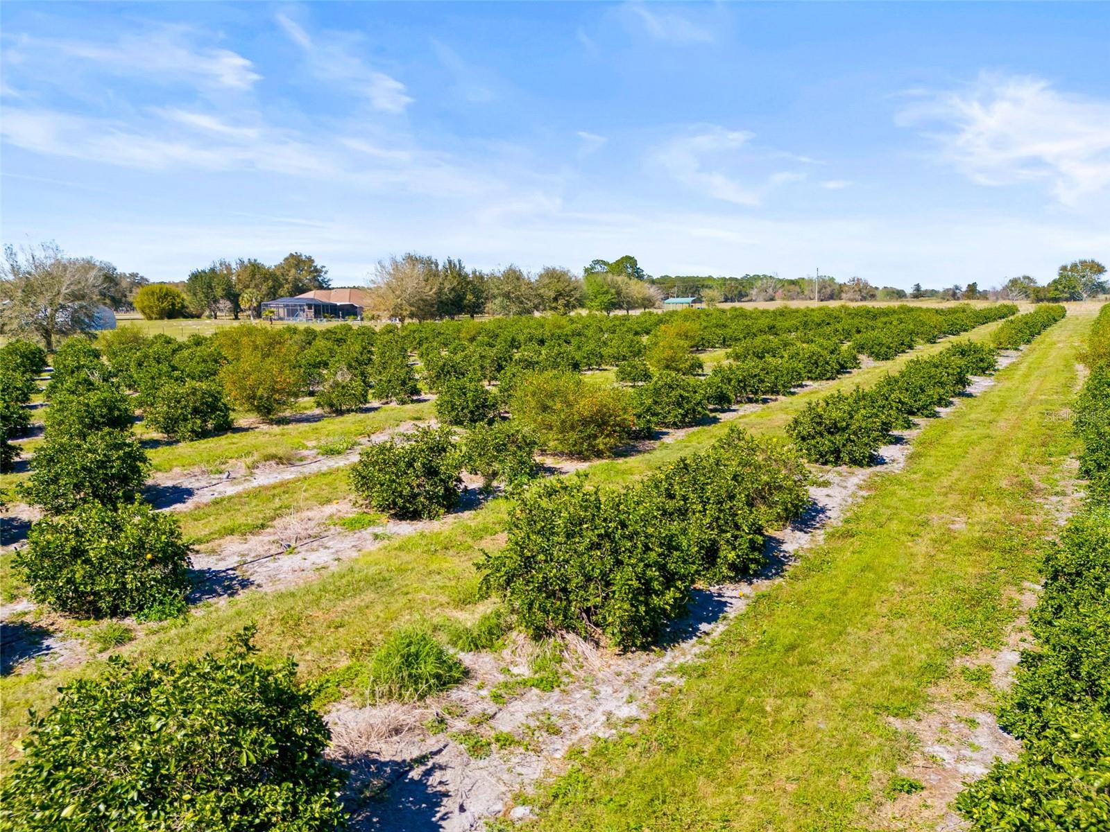 35538 FAIRVIEW HEIGHTS RD, ZEPHYRHILLS, FL, 33541