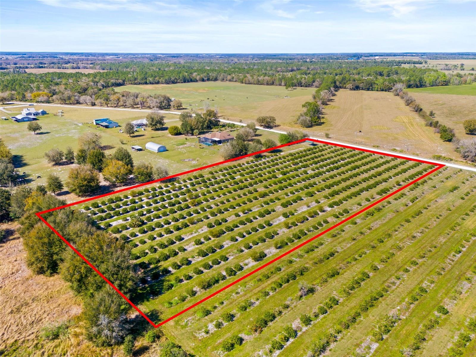 35538 FAIRVIEW HEIGHTS RD, ZEPHYRHILLS, FL, 33541