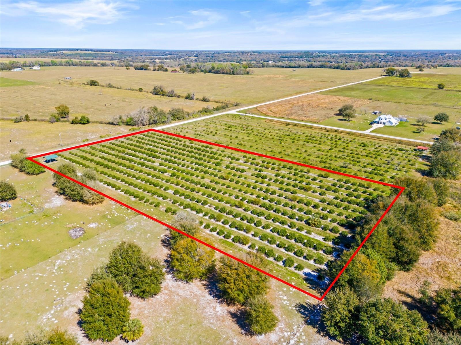 35538 FAIRVIEW HEIGHTS RD, ZEPHYRHILLS, FL, 33541