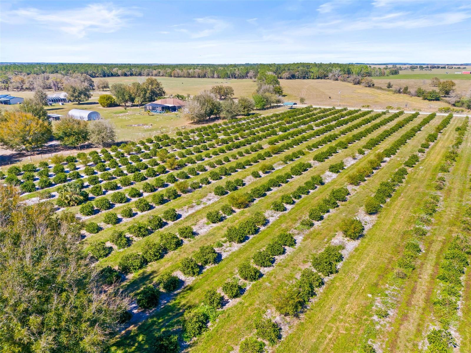 35538 FAIRVIEW HEIGHTS RD, ZEPHYRHILLS, FL, 33541